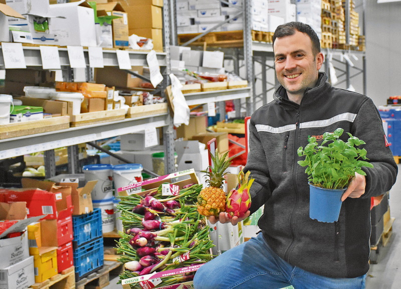 fruchtgarten_ - Vorteilhaft Leben - Vorteilhaft Leben