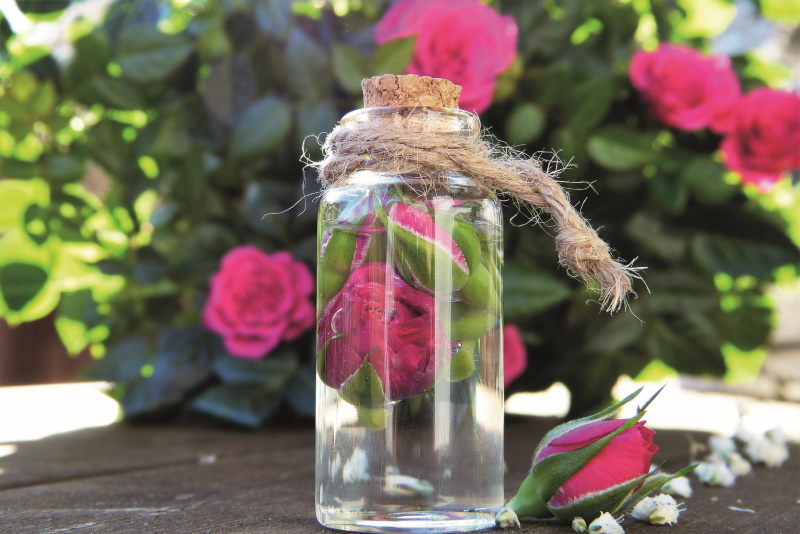 GartenTipp_Bild - Vorteilhaft Leben - Vorteilhaft Leben