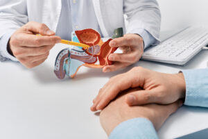 Prostate disease and treatment Male reproductive system anatomical model in doctors hands close-up during consultation of male patient with suspected bacterial prostatitis - Vorteilhaft Leben - Vorteilhaft Leben